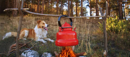 dog sitting by campfire