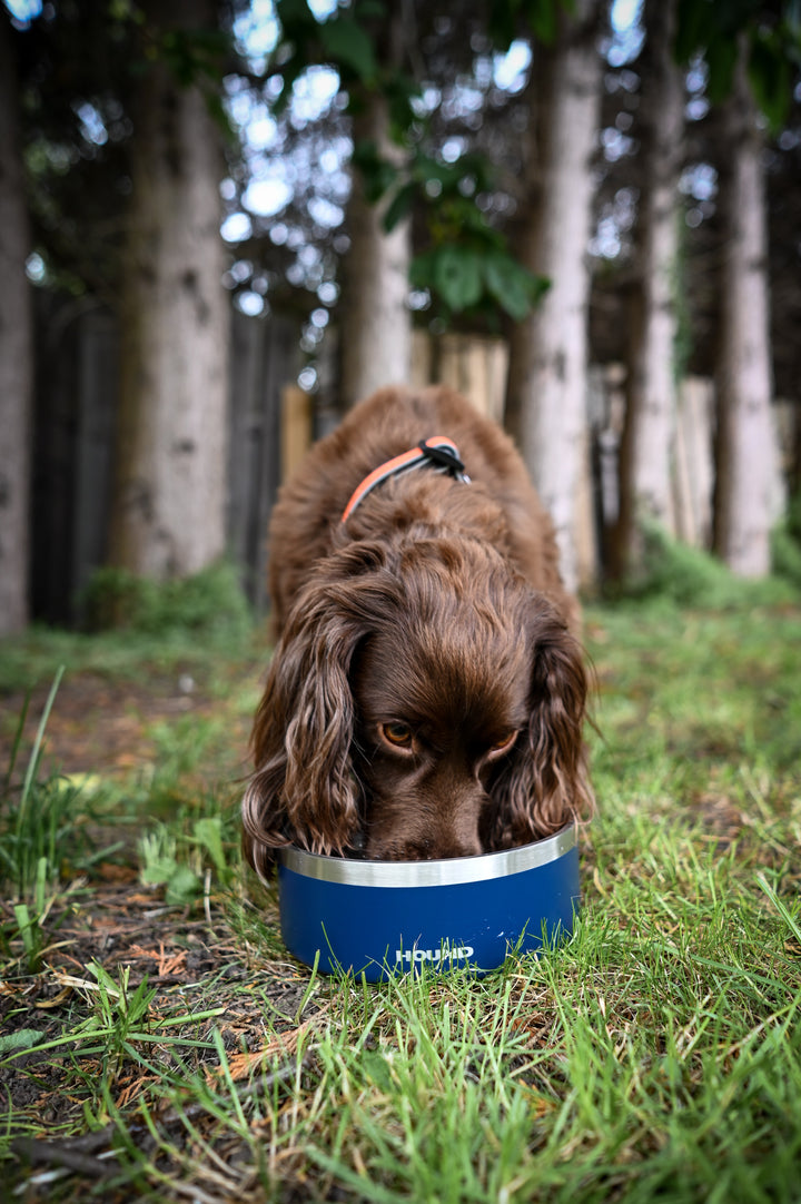 Stainless Steel Bowl - Hound