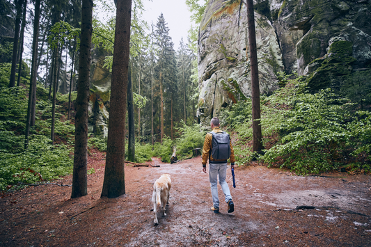 dog hiking