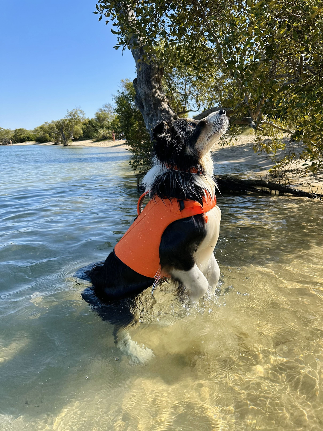 Water Adventures