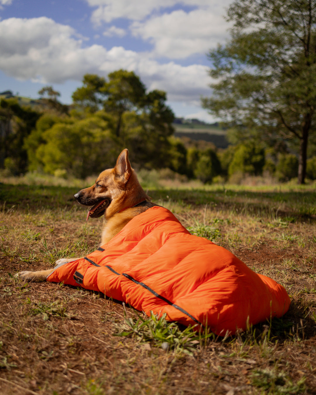 Adventure Sleeping Bag