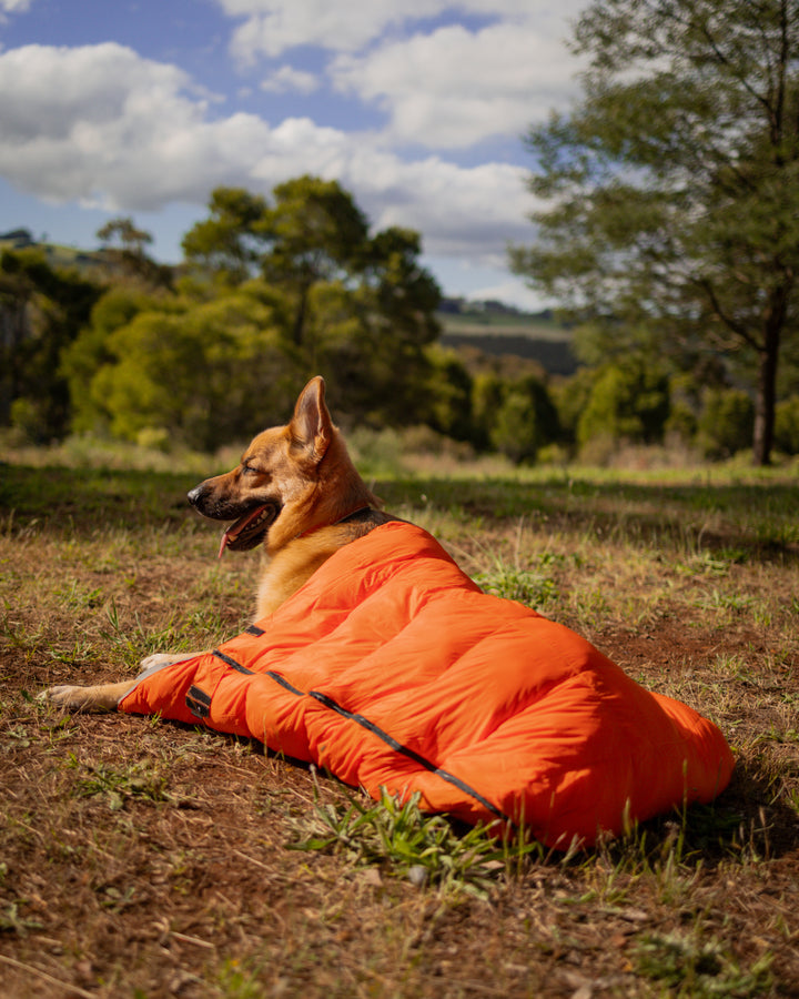 Adventure Sleeping Bag