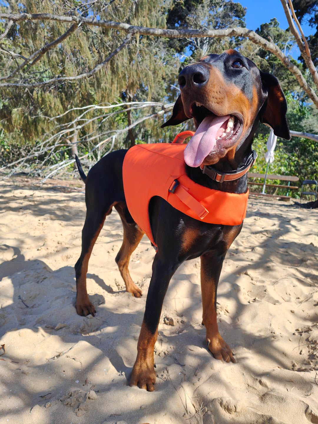 Dog Life Jacket