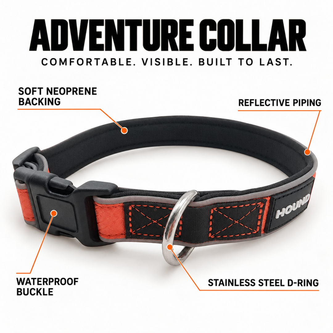 HOUND Adventure dog collar with soft neoprene backing, reflective piping, waterproof buckle and stainless steel D-ring