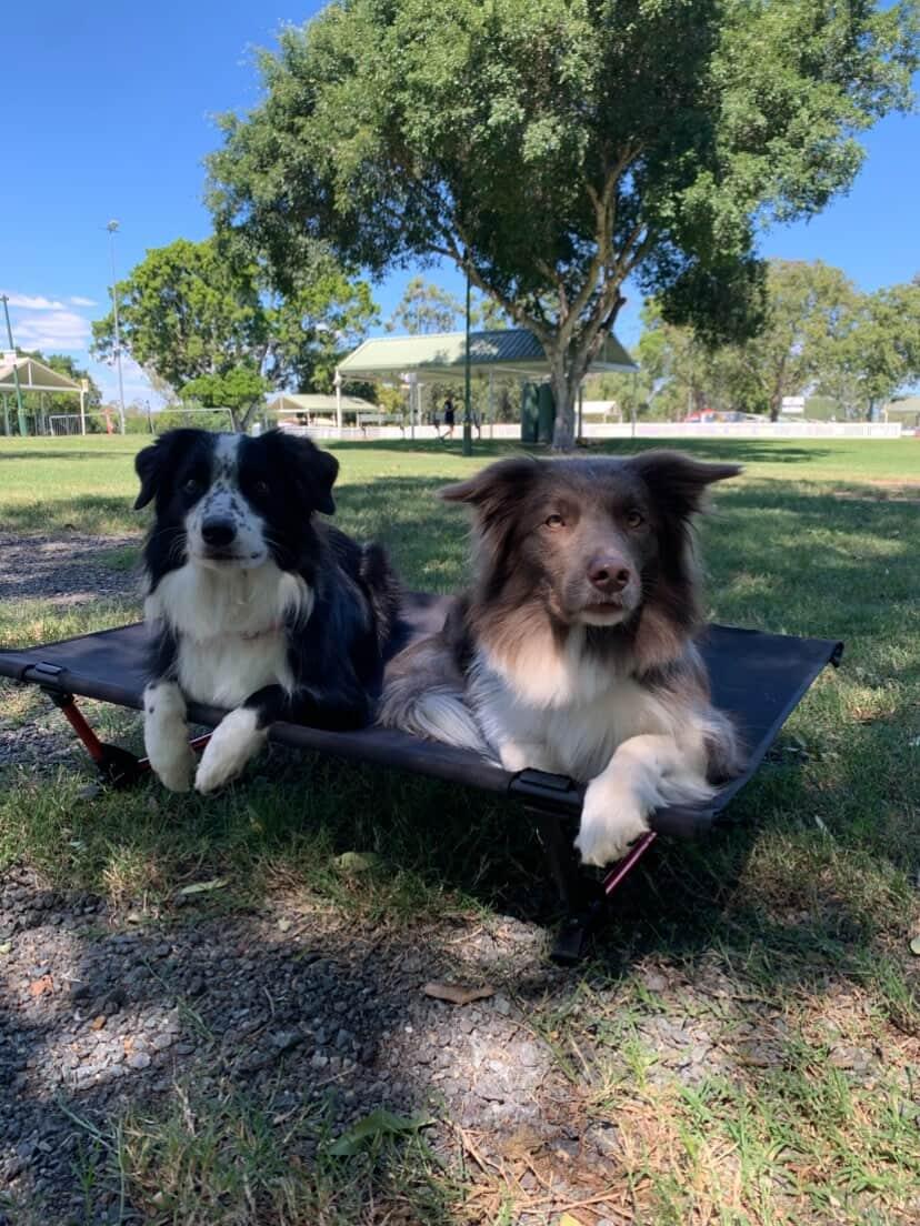 Camp Cot