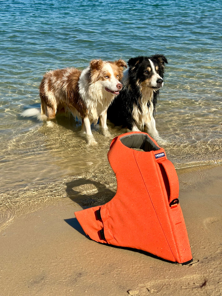 Dog Life Jacket