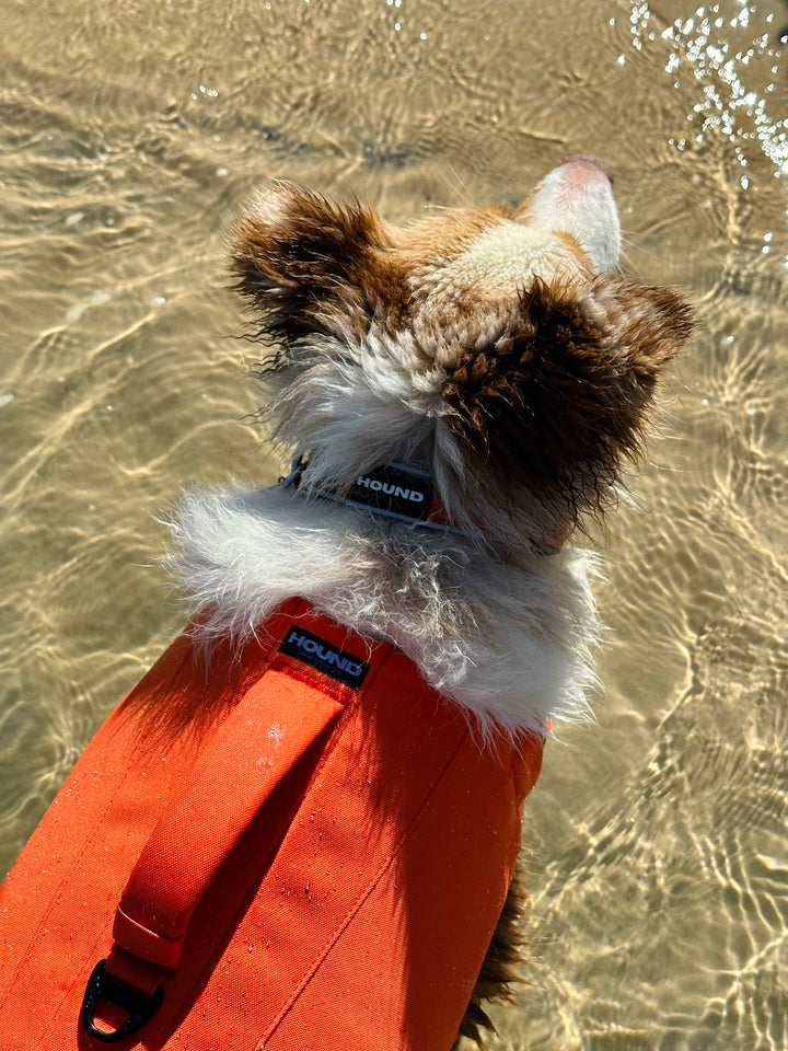 Dog Life Jacket