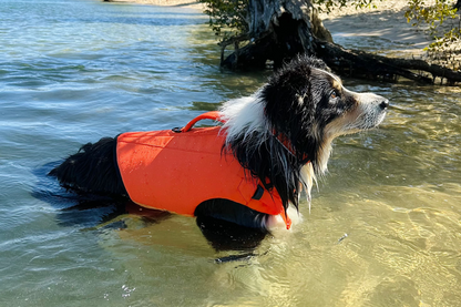 CFD (Canine Flotation Device)