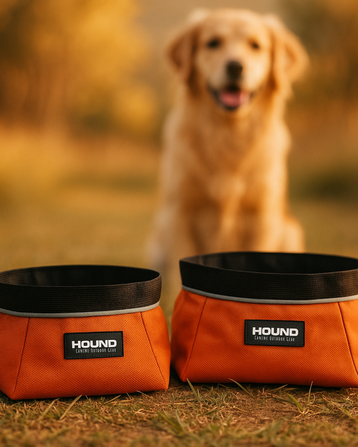 Two orange dog bowls with 'HOUND' branding in front of a golden retriever in a field.