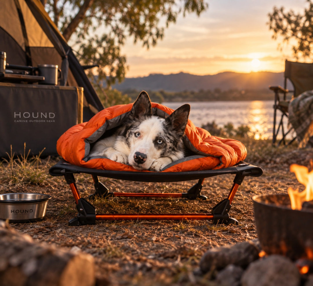 HOUND Camp Kit with dog resting in orange sleeping bag on camp cot at campsite