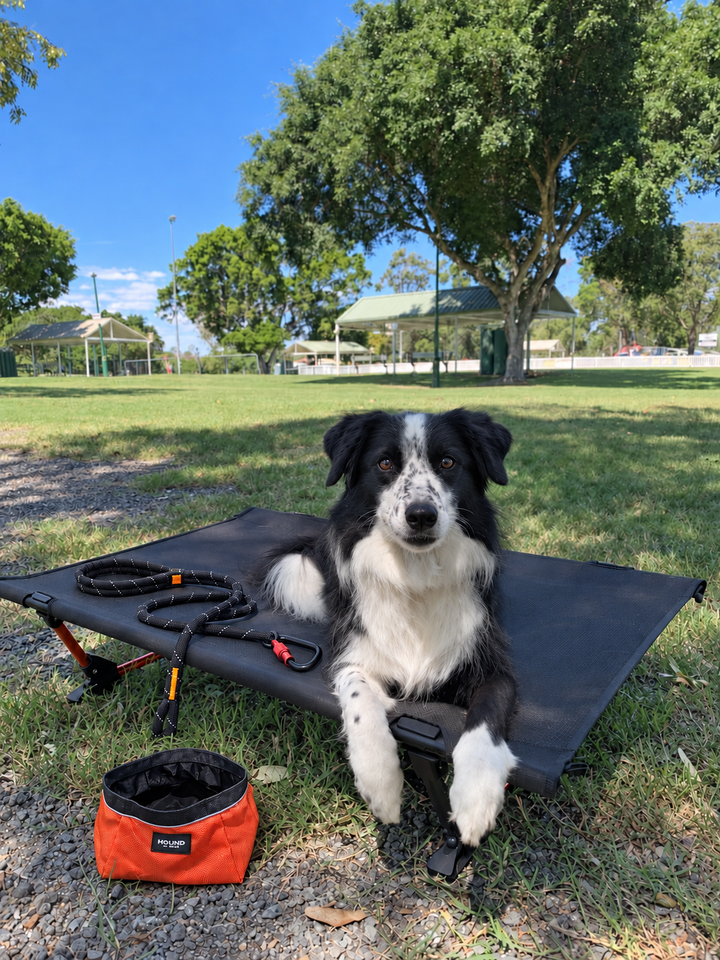HOUND Travel Kit with a dog on the Camp Cot, Trail Bowl and Trail Lead outdoors