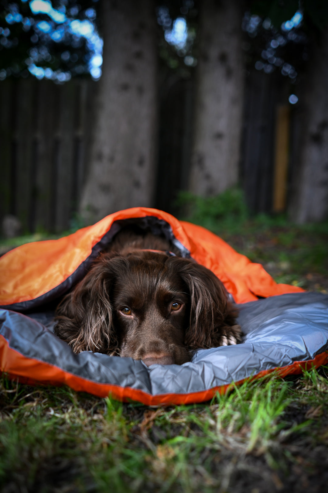 Adventure Sleeping Bag