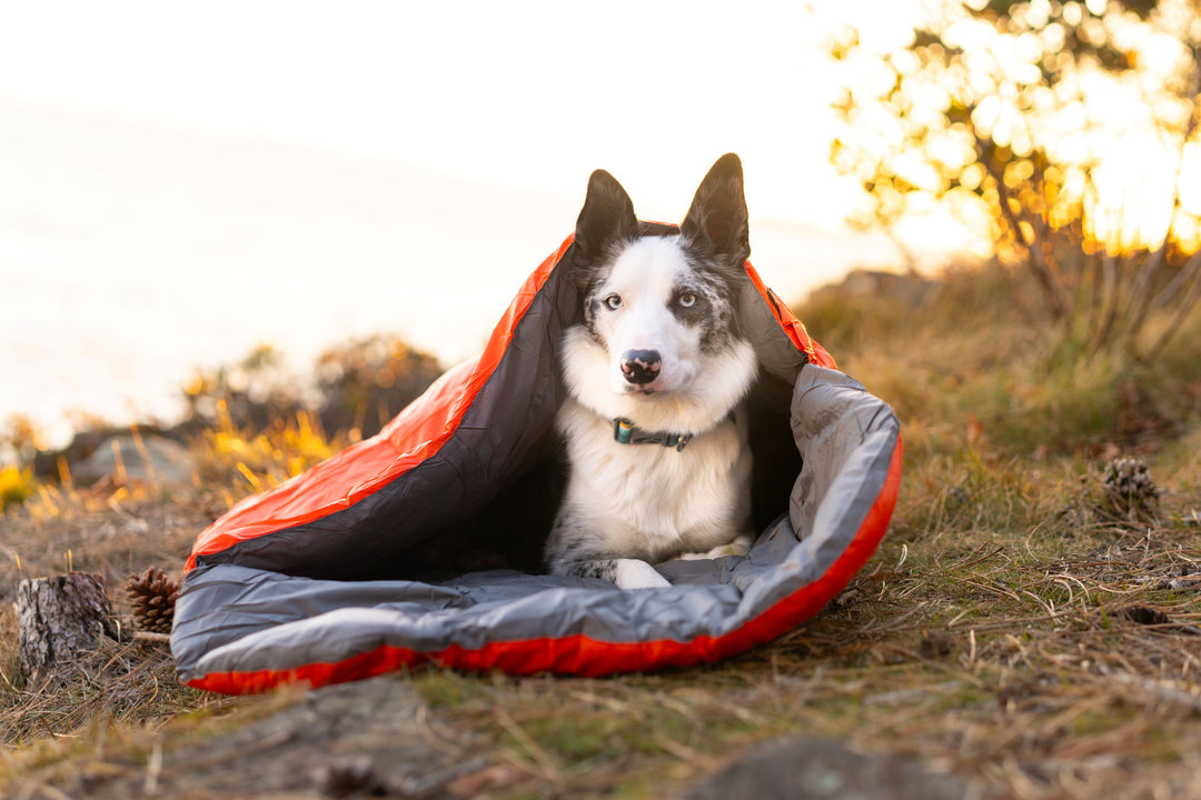Adventure Sleeping Bag