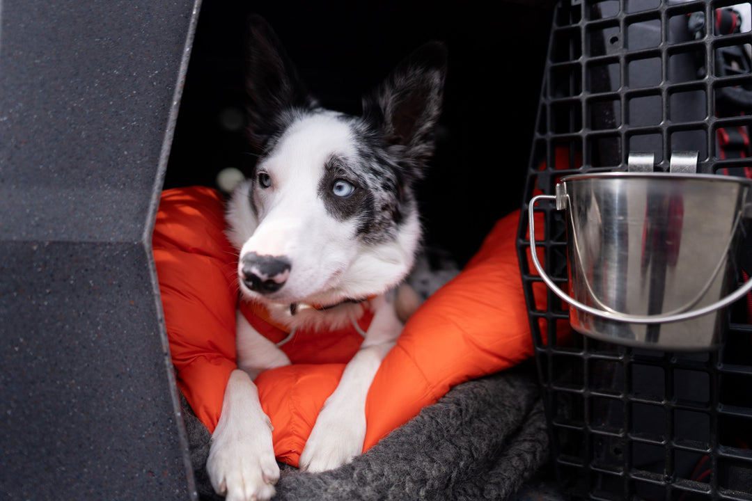 Adventure Sleeping Bag