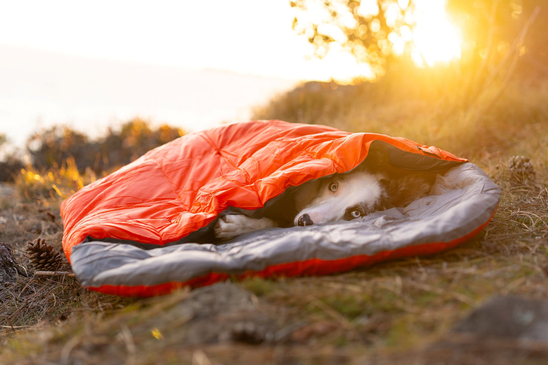 Adventure Sleeping Bag