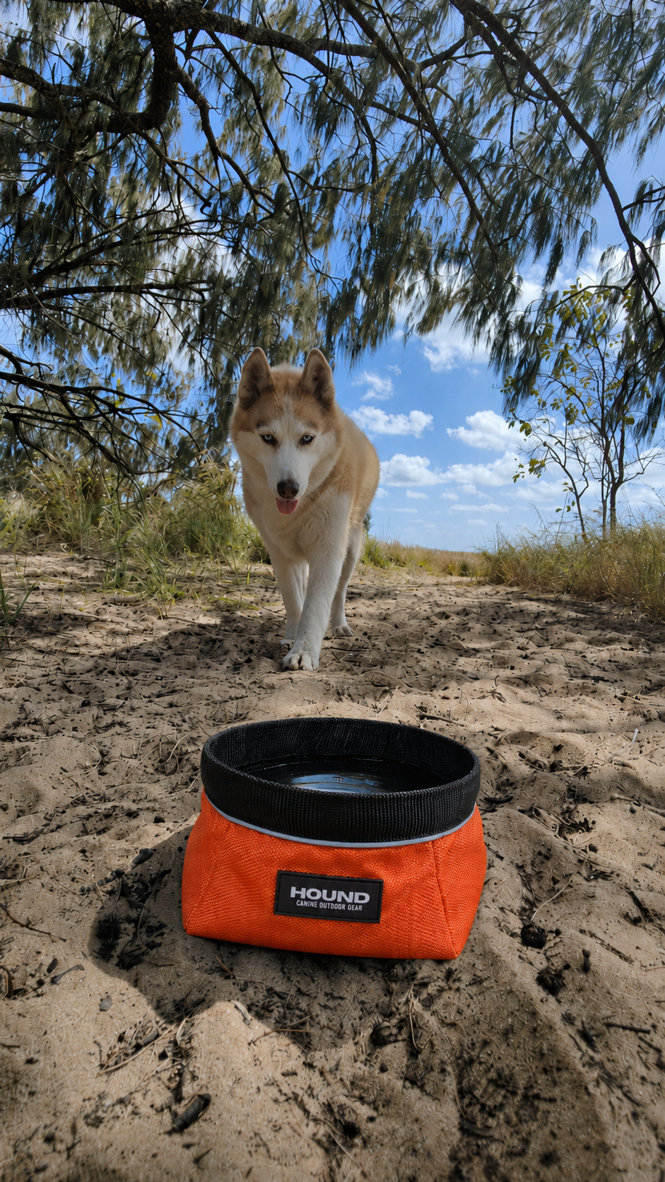 HOUND Float Kit Dog Life Jacket for water adventures