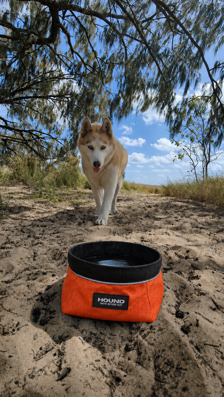 HOUND Float Kit Dog Life Jacket for water adventures